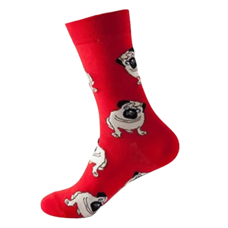 🐾 Pack Wild & Woof (x10)