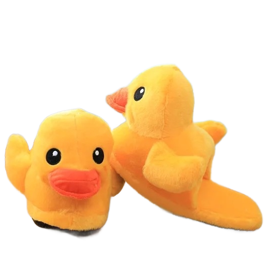 🦆 Les Coincoin Chics